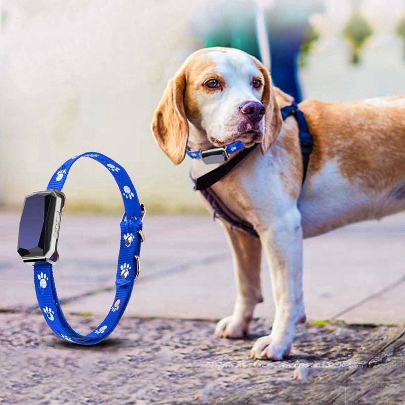 SmartPaws™ GPS Pet Tracker – Never Lose Your Dog Again